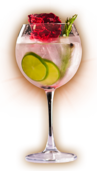 GinTonic