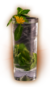 Mojito