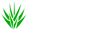 Company Brands